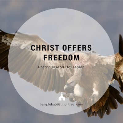 Christ Offers Freedom
