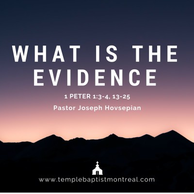 What is the Evidence?