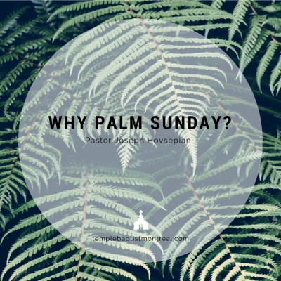 Why Palm Sunday?